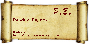 Pandur Bajnok névjegykártya